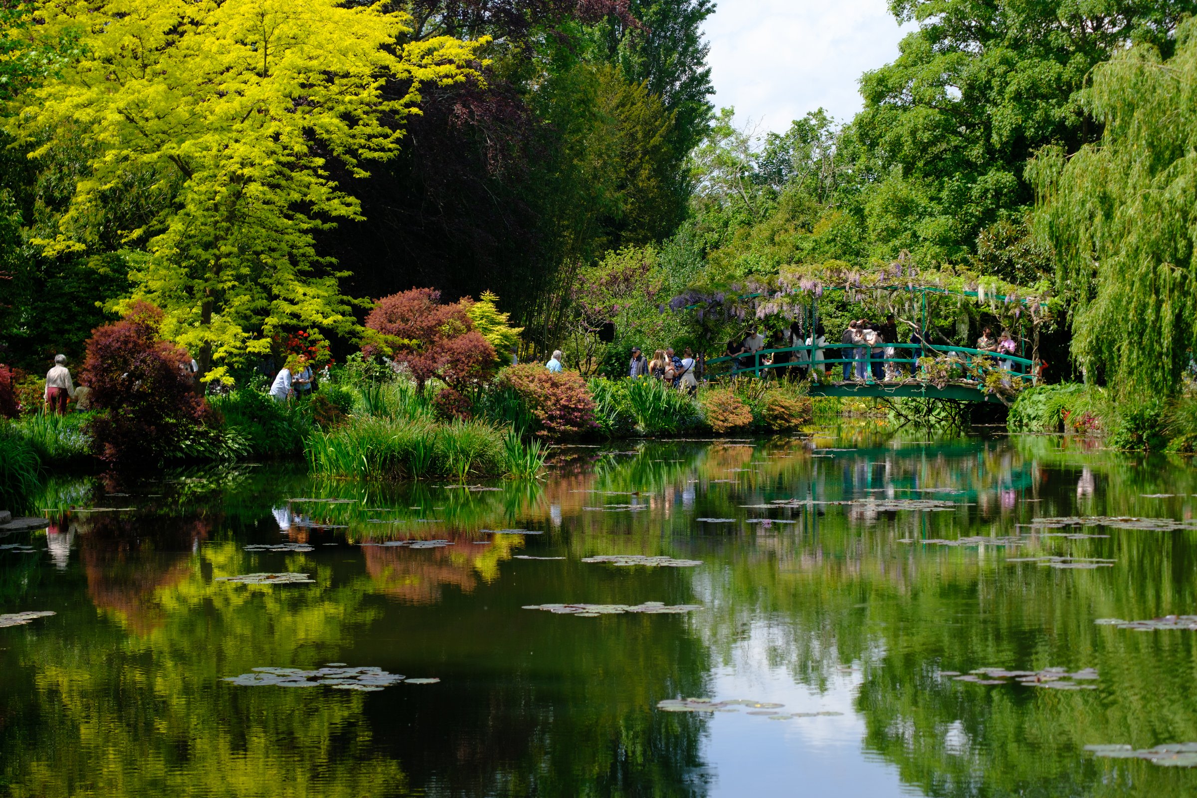 Japanese bridge over lily pond
