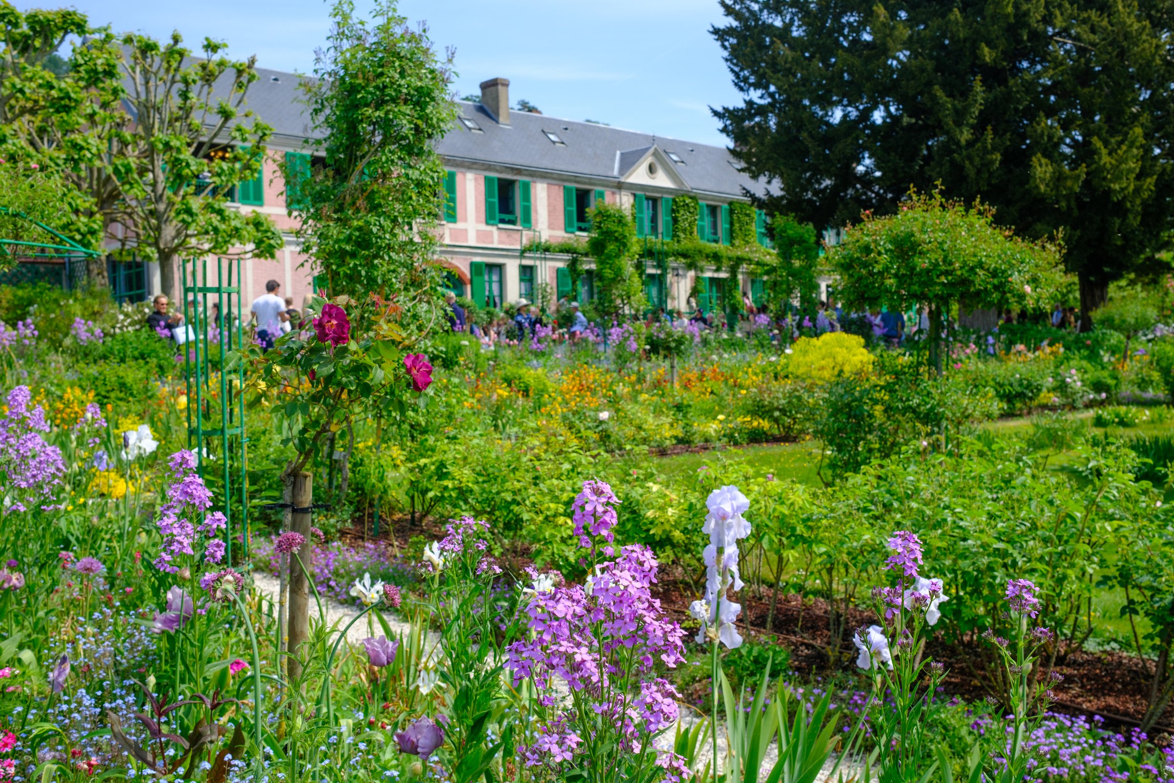 House through the garden