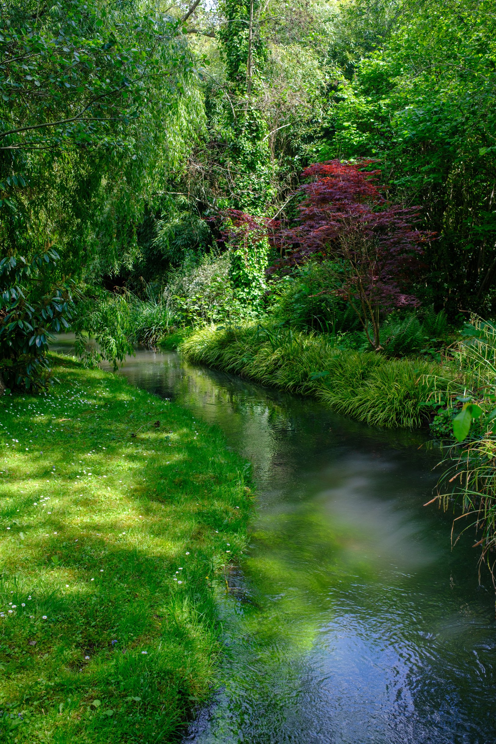 Stream in the water garden