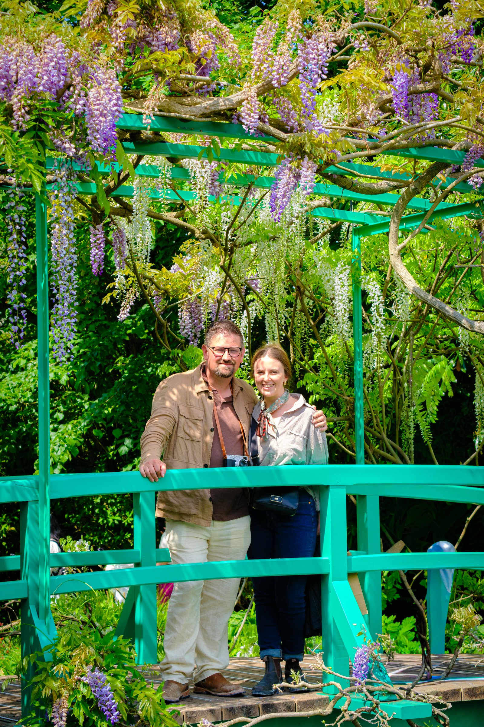 Together with wisteria