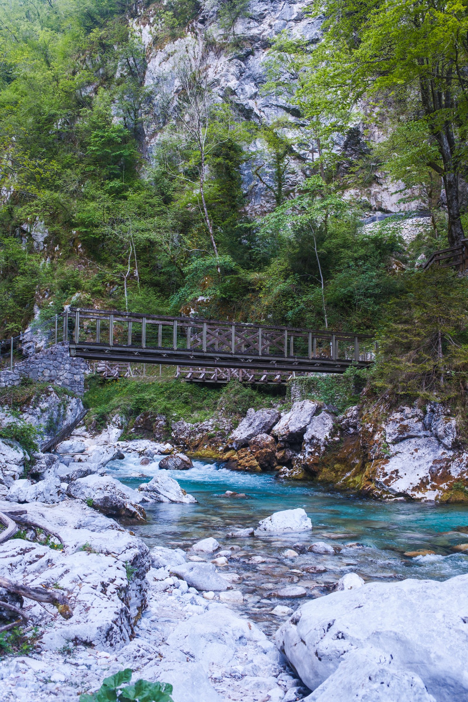 Footbridge over gorge